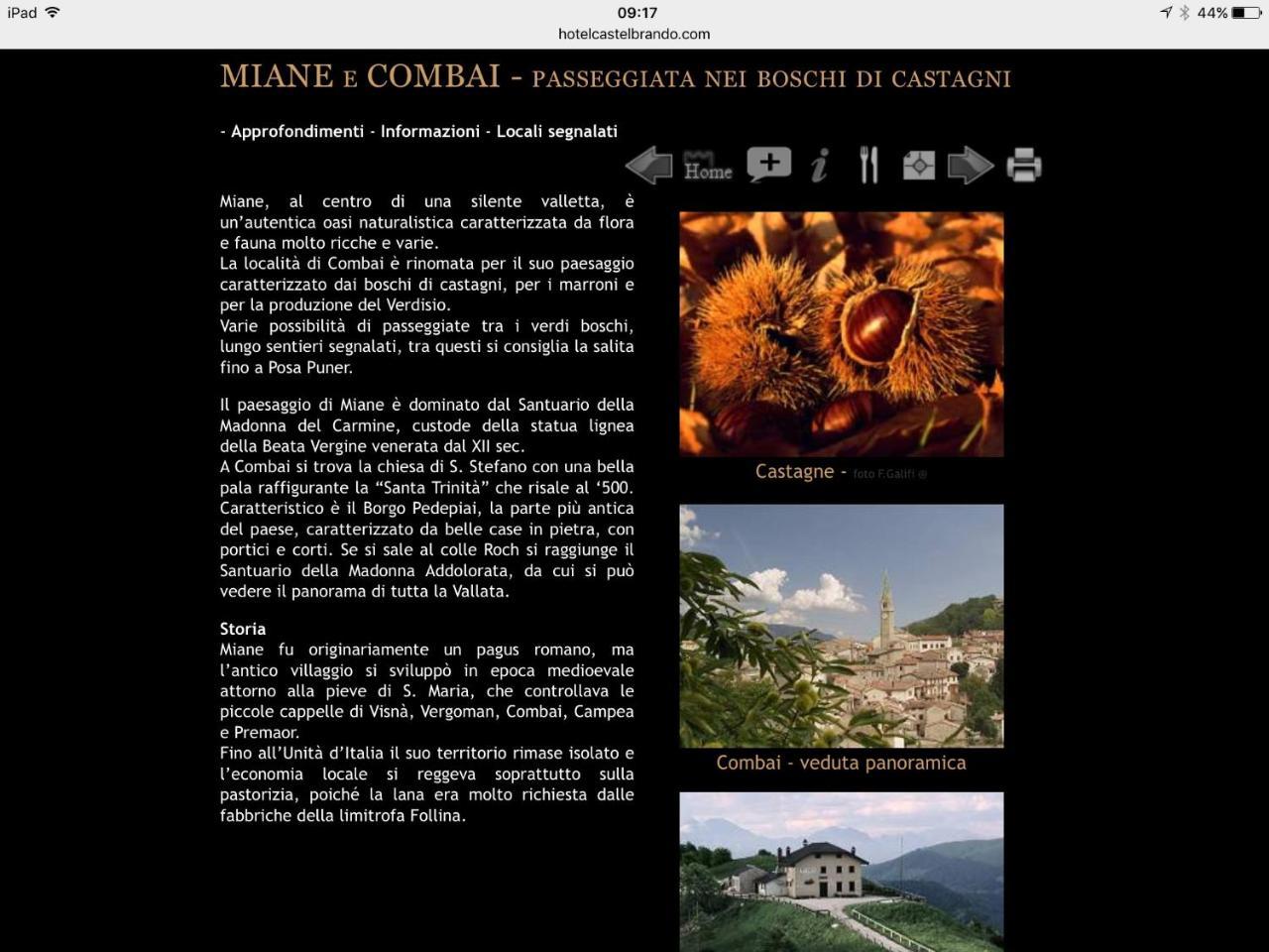B&B Casa Lisa Miane Экстерьер фото